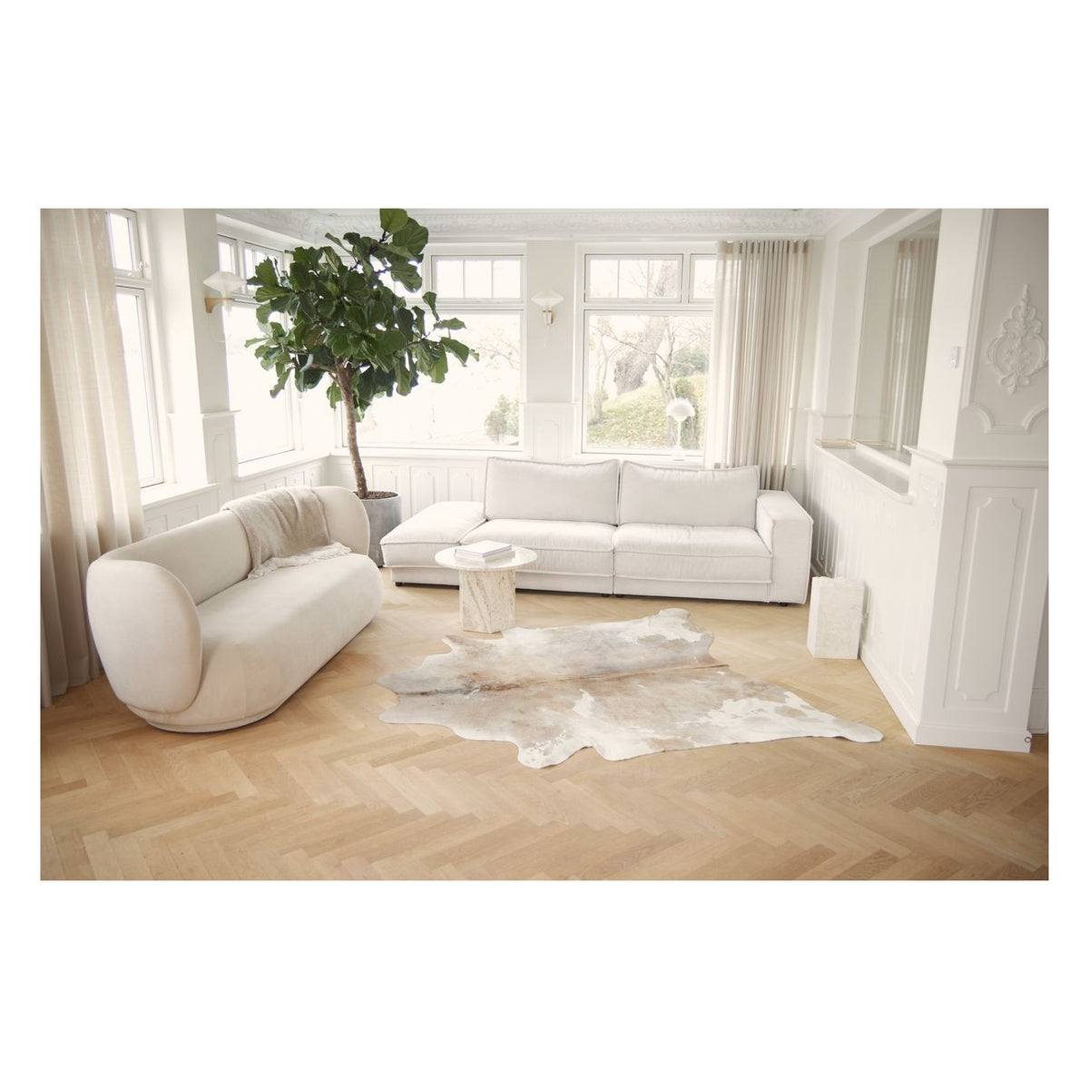 Premium Kuhfell – Bild 15