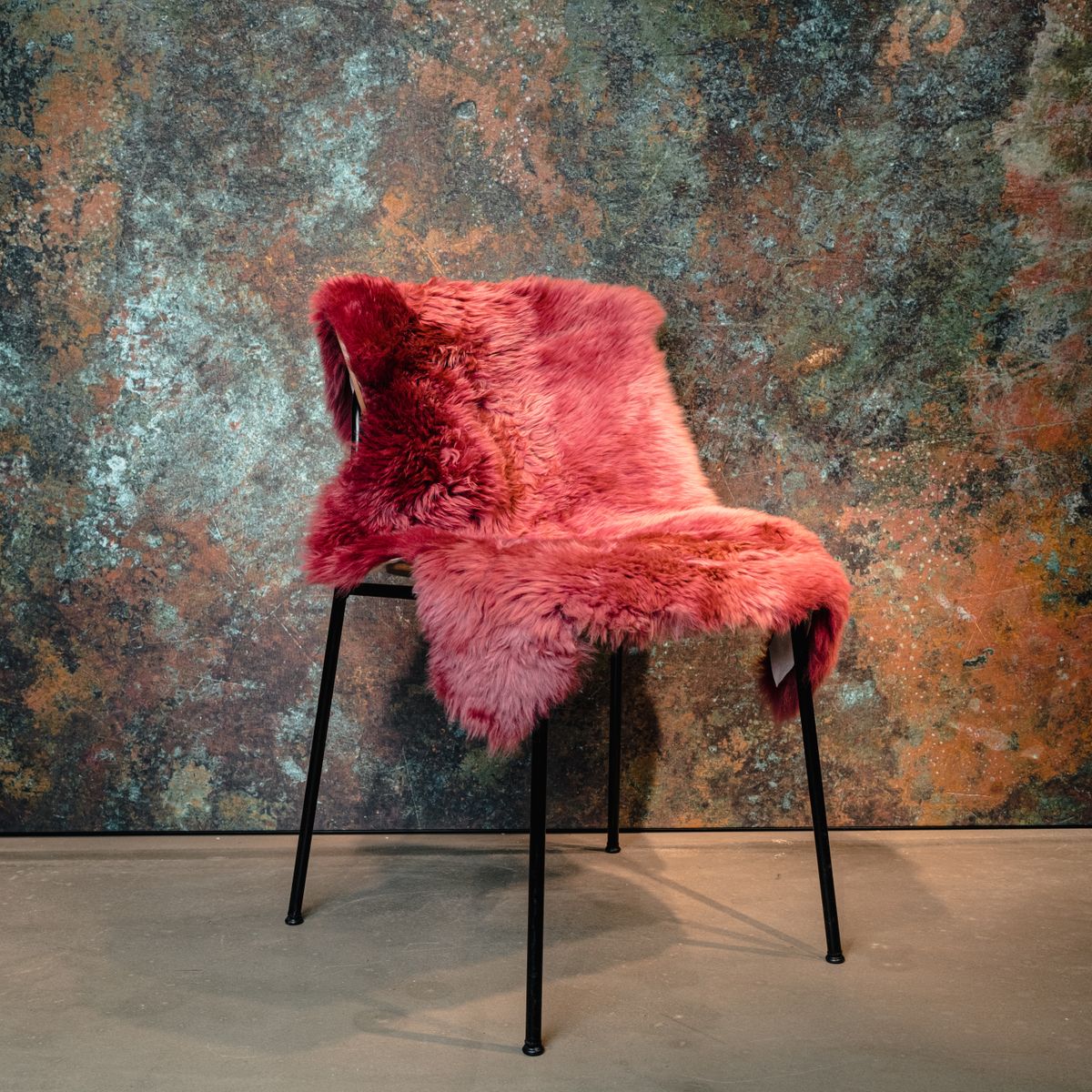 Merino Lammfell – Bild 12