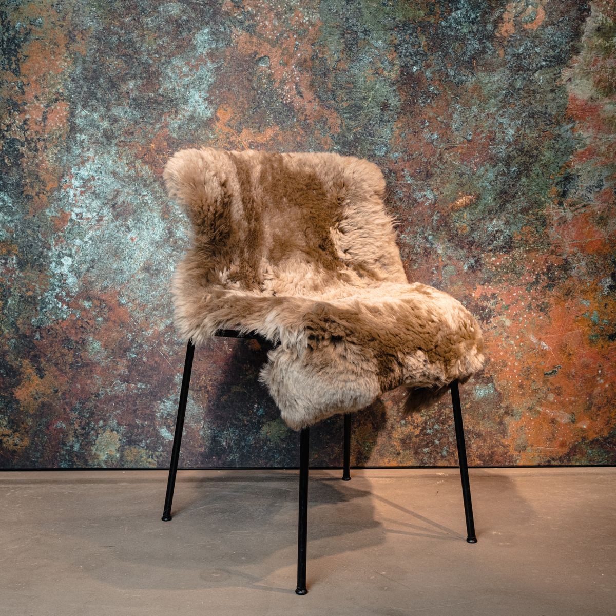 Merino Lammfell – Bild 13